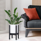 D'vine Dev Ceramic Planter with Ebony Stand - 8 Inch Modern Round Flower Pot with Wood Planter Holder, White, 55-B-M-1