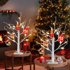 PABIPABI Money Tree Gift Holder, Set of 2 Birch Tree with 12 Clear Clips, Battery/USB Powered Timer Tabletop Trees for Home Party, Christmas, Wedding, Birthday Graduation (Warm White)