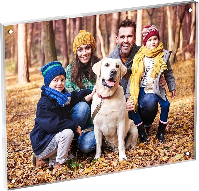 8x10 Acrylic Picture Frame 1 Pack, Clear Freestanding Double Sided Frameless Magnetic Photo Frames, Desktop Display Decor Gift