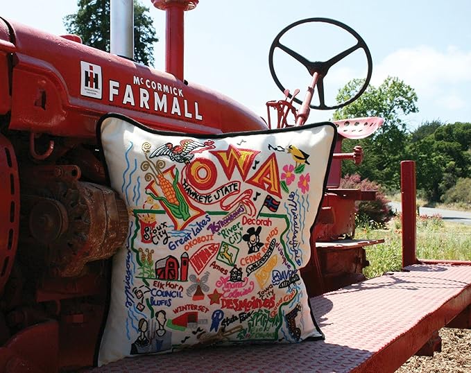 Catstudio Iowa Embroidered Decorative Throw Pillow
