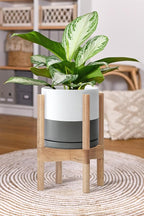 D'vine Dev Ceramic Planter with Natural Stand - 8 Inch Modern Round Flower Pot with Wood Planter Holder, White/Grey, 55-B-N-6