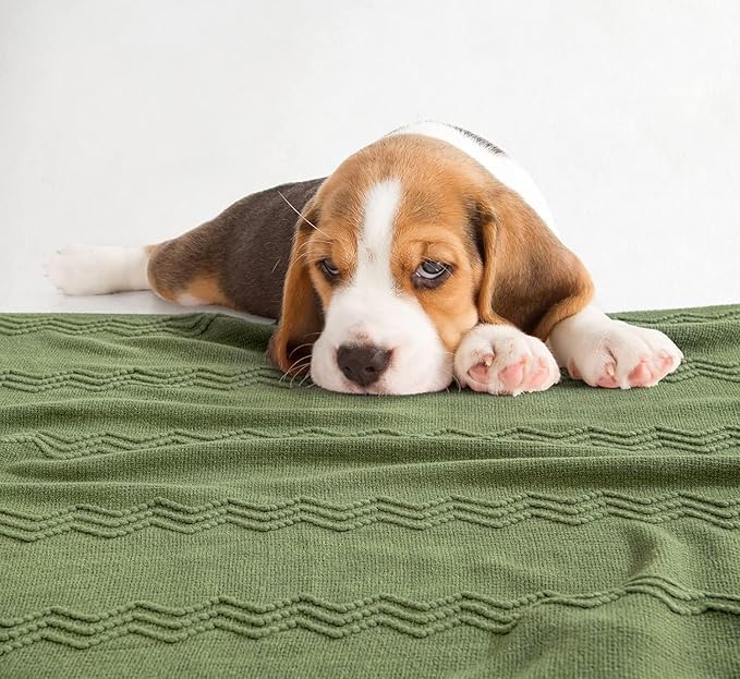 MIULEE Moss Green Knitted Throw Blanket for Couch Textured Knit Blanket with Tassels Cozy Woven Bed Blanket for Sofa Bed Chair Wave Pattern Spring Home Decor for All Seasons 50"x60"