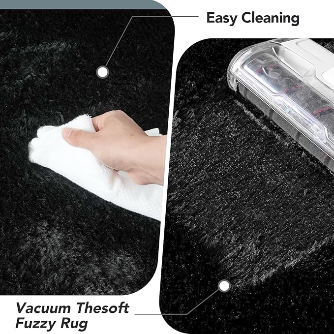 7x10 Area Rug for Living Room: Black Area Rug 7 X 10 Rugs for Living Room - Shag Fluffy Rug 7x10 Modern Indoor Soft Shaggy Fuzzy Floor Carpet for Bedroom