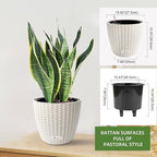 Dexceder 11x10 Inches Rattan Self Watering Planter Indoor Outdoor, Inner Pot Design, Thickened Table Flower Plant Pot with Water Level Indicator (Ivory White)