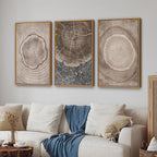 SIGNINART Beige Tree Ring Framed Canvas Wall Art Set, Abstract Black and White Rustic Wood Wall Decor, Neutral Wood Stump Artwork, Modern Art Prints for Bedroom Living Room Office 16"x24"x3