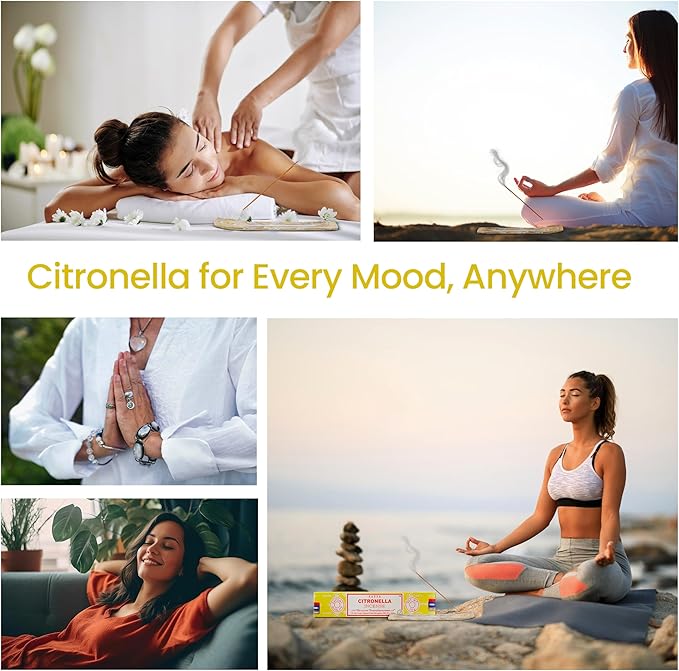 Satya Nagchampa Citronella Incense Sticks, Satya Bng (Bangalore) Insenses 15gmx3 Pack (45 GMS) with Raajsee Incense Holder Bundle, Satya Nagchampa Natural Incense