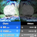 Garden Solar Ball Lights Outdoor Waterproof, 80 LED Cracked Glass Globe Solar Power Ground Lights for Path Yard Patio Lawn, Outdoor Decoration Landscape White (2 Pack 5.9'')