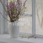 Antica Farmacista Home Ambiance Diffuser, 8.45 Fl Oz, Daphne Flower