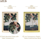 AELS 8x10 Inch Vintage Picture Frame, Elegant Antique Photo Frames with Glass Front, Photo Display, Tabletop Wall Hanging, Gift Ideas, Off-white with Gold Trim