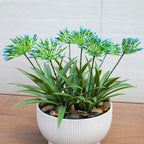 Artificial Agapanthus Africanus Fake African Lily Blue Flowers Fake Plants Outdoor Spring Summer Decoration Realistic Faux Greenery for Front Door Porch Planter Decor
