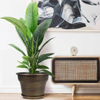 Plant Planters Pots Set of 4 Pack 10 Inch, Plastic Flower Pot for Indoor Plants with Drainage Holes & Trays, Resin Decorative Container Sets with Saucer for House Outdoor Garden Planters Dark Gold