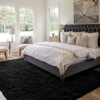 4x6 Ft Shag Black Rugs for Bedroom Living Room, Ultra Soft Fluffy Furry Area Rugs for Indoor Floor, Aesthetic Carpet for Kids Home Decor