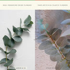 Reed Diffusers - Oil Sticks Diffuser Set with Real Dried Flowers - Reed Diffusers for Home, Bathroom & Office | Air Freshener Fragrance Sticks for Shelf Decor & Gifts by Le Petit Jardin & Co.