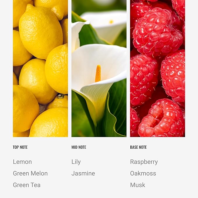 Mystify Reed Diffuser Set, Luxury Hotel Inspired Home Diffuser with Hints of Jasmine, Green Melon, and Lily, Lasting 4 Months Longevity, 100mL