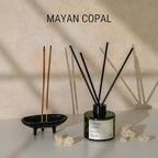 Craft & Kin Mayan Copal Reed Diffuser | All Natural Essential Oil & Rattan Scent Sticks | Fall Reed Diffusers for Home, Bathroom | Long Lasting Home Fragrance in Green Glass, 3.4oz