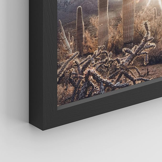 SIGNWIN Framed Cactus Desert Landscape Wall Art, Set of 4 Southwest Texas Arizona Saguaro Wall Decor Prints, Nature Wilderness Wall Décor for Living Room, Bedroom Black - 12"x16" Black