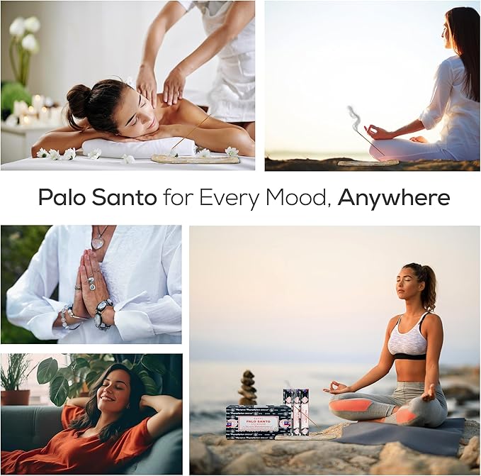 Satya Nagchampa Palo Santo Incense Sticks, Satya Bng (Bangalore) Insenses 15gmx3 Pack (45 GMS) with Raajsee Incense Holder Bundle, Satya Nagchampa Natural Incense