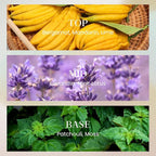 M&SENSE 6.3 oz Large Reed Diffuser Set | Lime Basil Scent Oil Diffuser with Sticks | Hotel Collection Non-Toxic Essential Oil |for Bedroom Bathroom Living Room