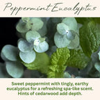 Peppermint Eucalyptus Scented Candle, Many Scents to Choose from, All Natural Non-Toxic Soy Wax, Handmade in The USA(Peppermint Eucalyptus)