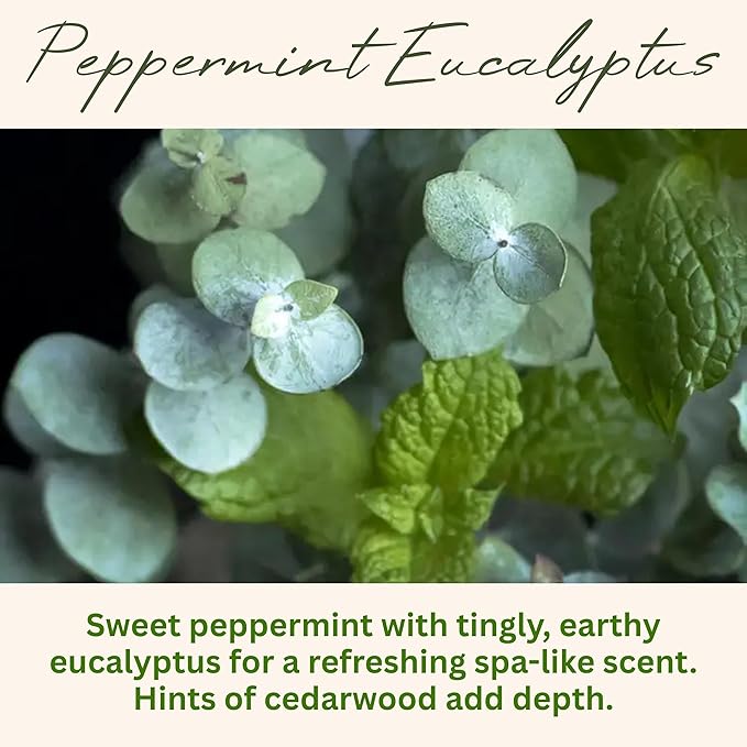 Peppermint Eucalyptus Scented Candle, Many Scents to Choose from, All Natural Non-Toxic Soy Wax, Handmade in The USA(Peppermint Eucalyptus)