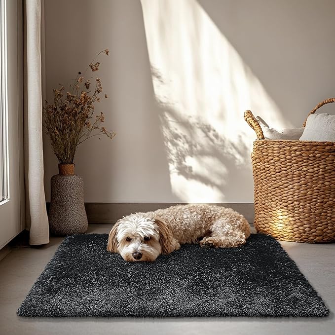 2x3 Fluffy Area Rugs for Bedroom Living Room,Small Soft Shag Fuzzy Rug Non-Shedding Indoor Plush Carpet for Kids Bedroom Nursery Dorm Home Decor,Black