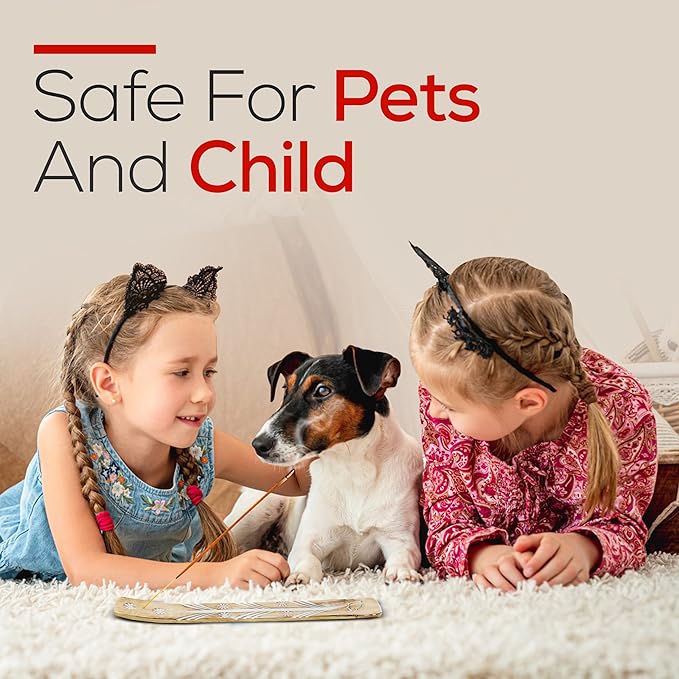 Satya Dragon Blood Incense Sticks 180 gm (15GM X 12 Pack) from Satya Sai Baba Nag Champa and Raajsee Incense Sticks Holder Bundle, Free from Chemicals,Natural Insenses