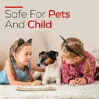 Satya Dragon Blood Incense Sticks 180 gm (15GM X 12 Pack) from Satya Sai Baba Nag Champa and Raajsee Incense Sticks Holder Bundle, Free from Chemicals,Natural Insenses