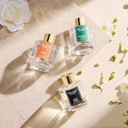 Airkeep Reed Diffuser Set of 3, Black Forest Eucalyptus Moss Citrus Oil Reed Diffusers for Bedroom Living Room Office Aromatherapy Oil Reed Diffuser for Gift 50ml x 3