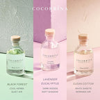 COCORRÍNA Eucalyptus Reed Diffuser Set of 3 - Lavender Eucalyptus, Black Forest, Clean Cotton Scents, 1.7 fl oz Each, Total 5.1 oz, Scented Oil Diffusers for Home & Office﻿