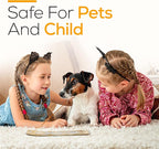 Satya Sandalwood Incense Sticks 250 gm Pack, Insenses with Raajsee Insence Holder Bundle, Nag Champa Natural Incense