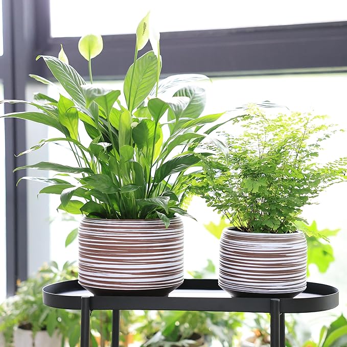 8 Inch + 6 Inch Ceramic Plant Pots Indoor with Drainage – Flower Pot Set, Decorative Indoor Planters for House Plants and Garden Use