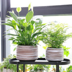 8 Inch + 6 Inch Ceramic Plant Pots Indoor with Drainage – Flower Pot Set, Decorative Indoor Planters for House Plants and Garden Use