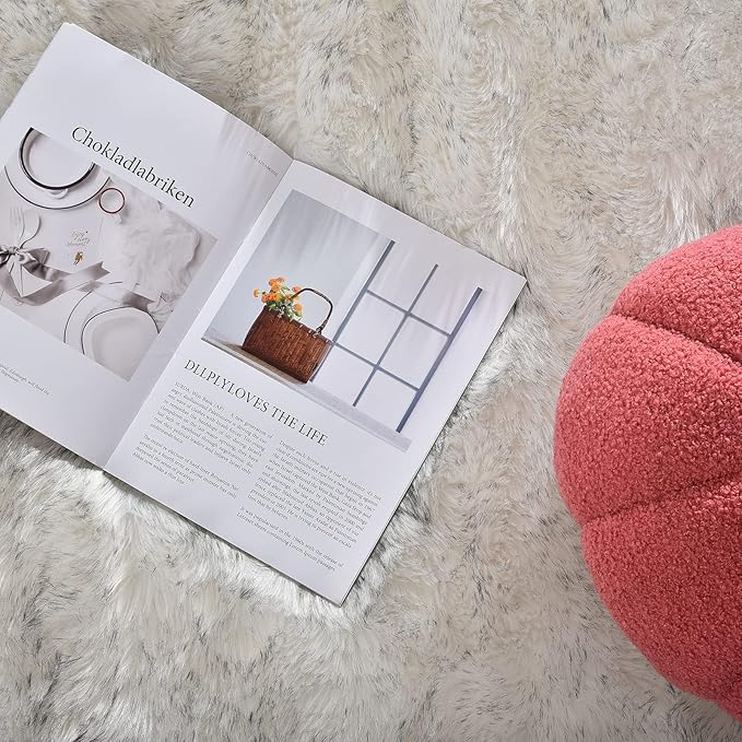 Latepis White with Grey Tips Small Bedroom Washable Soft Shaggy 2x3 Rug Fuzzy Rug Faux Sheepskin Fur Rug for Cushion Cat Mat Home Decor Rectangle