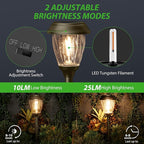 XMCOSY+ Solar Pathway Lights Outdoor, 10/25 LM in 2 Lighting Modes, Glass Stainless Steel Waterproof Outside Solar Powered Garden LED Lights for Yard Lawn Driveway Walkway Landscape Decor(Warm White)