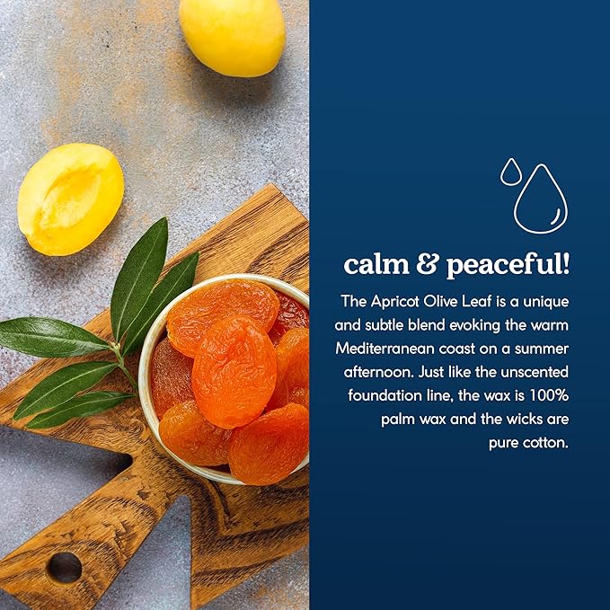 GoodLight Paraffin-Free Scented Candle, Clean Burning Non-Toxic Tin Candles, Apricot Olive Leaf Essential Oil Scented Travel Candle