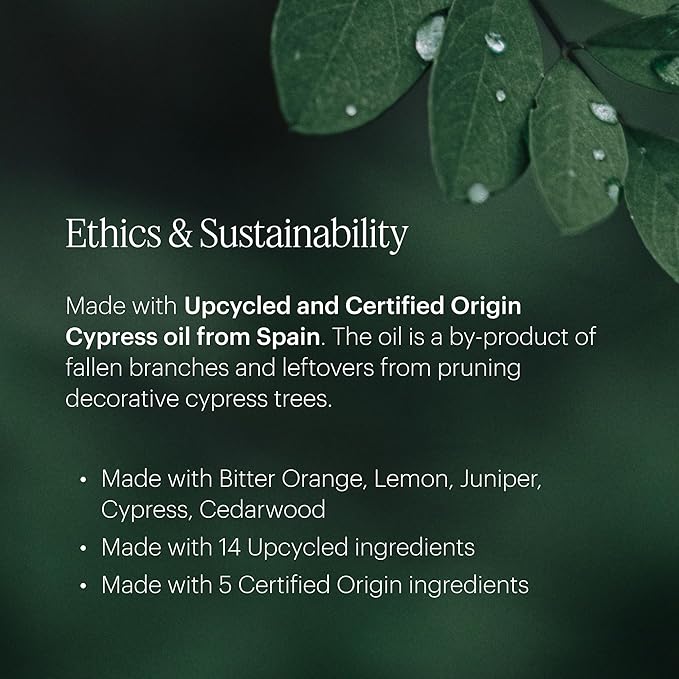 Aera Sandalwood - Essential Oil for Home - Inspiring Calm Fragrance - Notes of Sandalwood, Balsam and Oud - Scent Refill - Works with The Aera Diffuser