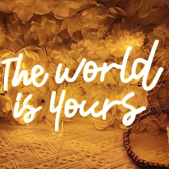 SYLHOME The World Is Yours Led Neon Light Sign Cool Bedroom Game Kids Room Wall Decor Sign Birthday Christmas Party Home Pub Club Bar Inspirational Light Up Sign USB 15.75"X8.46" Warm