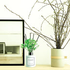 Reed Diffuser Set,5.1oz Cashmere Vanilla Scent Diffuser with Sticks Home Fragrance Reed Diffuser with Essential Oil for Bathroom Shelf Decor&Air Freshener,Home Bathroom Office Decor & Gifts