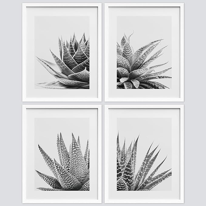 SIGNWIN Framed Black White Snake Plant Agave Cactus Succulent Wall Art, Set of 4 Floral Botanical Wall Decor Prints, Nature Wilderness Wall Décor for Living Room, Bedroom - 12"x16" White