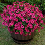 20 Bundles Artificial Flowers for Outdoor Fake Plants for Spring Decoration,Faux Eucalyptus Flowers for Planter UV Resistant Lifelike for Home Porch Garden（Rose Red）