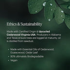 Aera Feu de Bois - Essential Oil for Home - Wood Burning Fragrance - Notes of Smokey Embers and Driftwood - Scent Refill - Works with The Aera Diffuser