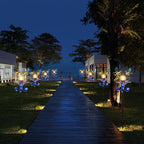 VCUTEKA Solar Lights Outdoor Metal Garden Stake Waterproof Crackle Glass Globe Garden Decor Blue Jay Bird for Pathway, Lawn, Patio, Yard