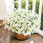 Daisy Artificial Flowers for Outdoors Fall Autumn Decoration, 6 Bundles Fake Mums White Silk Flowers for Outside Look Real UV Resistant Faux Flowers Plants for Planter Front Door Home Indoor Porch Urn