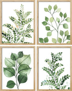 SIGNWIN Framed Green Pastel Forest Fern Leaf Wall Art, Set of 4 Collage Nature Garden Wall Decor Prints, Nature Wilderness Wall D¨¦cor for Living Room, Bedroom - 12"x16" Natural