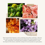 Airkeep Reed Diffuser Set/Cashmere Vanilla/6.76 fl oz(200ml)/1 Pack/Home & Office Decor Aromatherapy Diffuser Oil Gift Set