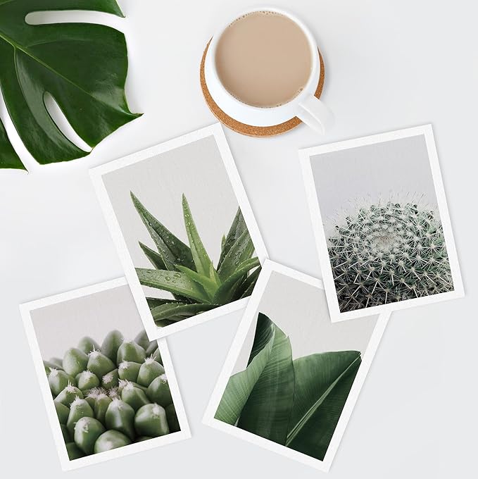 SIGNWIN Adhesive Canvas Poster Tropical Island Green Desert Plant Cactus Snake Plant Nature Wilderness Photography Realism Decorative Rustic Cozy Zen for Living Room, Bedroom, Office - 8"x10"x 4