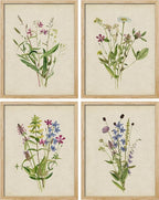 SIGNWIN Framed Watercolor Floral Botanical Wall Art, Set of 4 Vintage Wall Decor Prints, Minimalist Wall Décor for Living Room, Bedroom - 11"x14" Natural