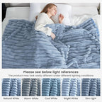 Cozy Bliss Faux Fur Throw Blanket for Couch, Cozy Warm Plush Striped Blanket for Sofa Bedroom Living Room,60 * 80 Inches Light Blue