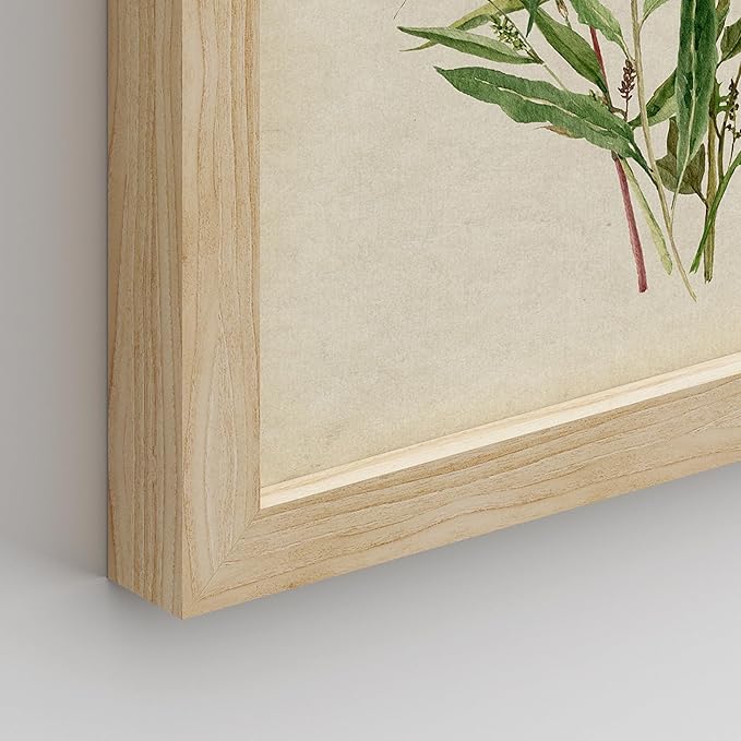 SIGNWIN Framed Watercolor Floral Botanical Wall Art, Set of 4 Vintage Wall Decor Prints, Minimalist Wall Décor for Living Room, Bedroom - 8"x10" Natural