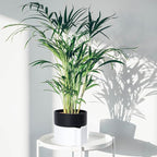 8 Inch Self-Watering Planter Pot with Terracotta Insert, Deep Water Reservoir, and Ceramic-Alike BPA-Free Plastic Planter Pot for Plant, Modern Planter for Houseplants, White/Black, 53-B-T-4